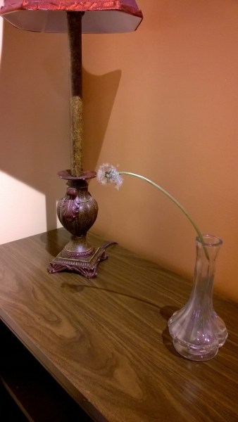 WP_20160427_17_20_21_Pro