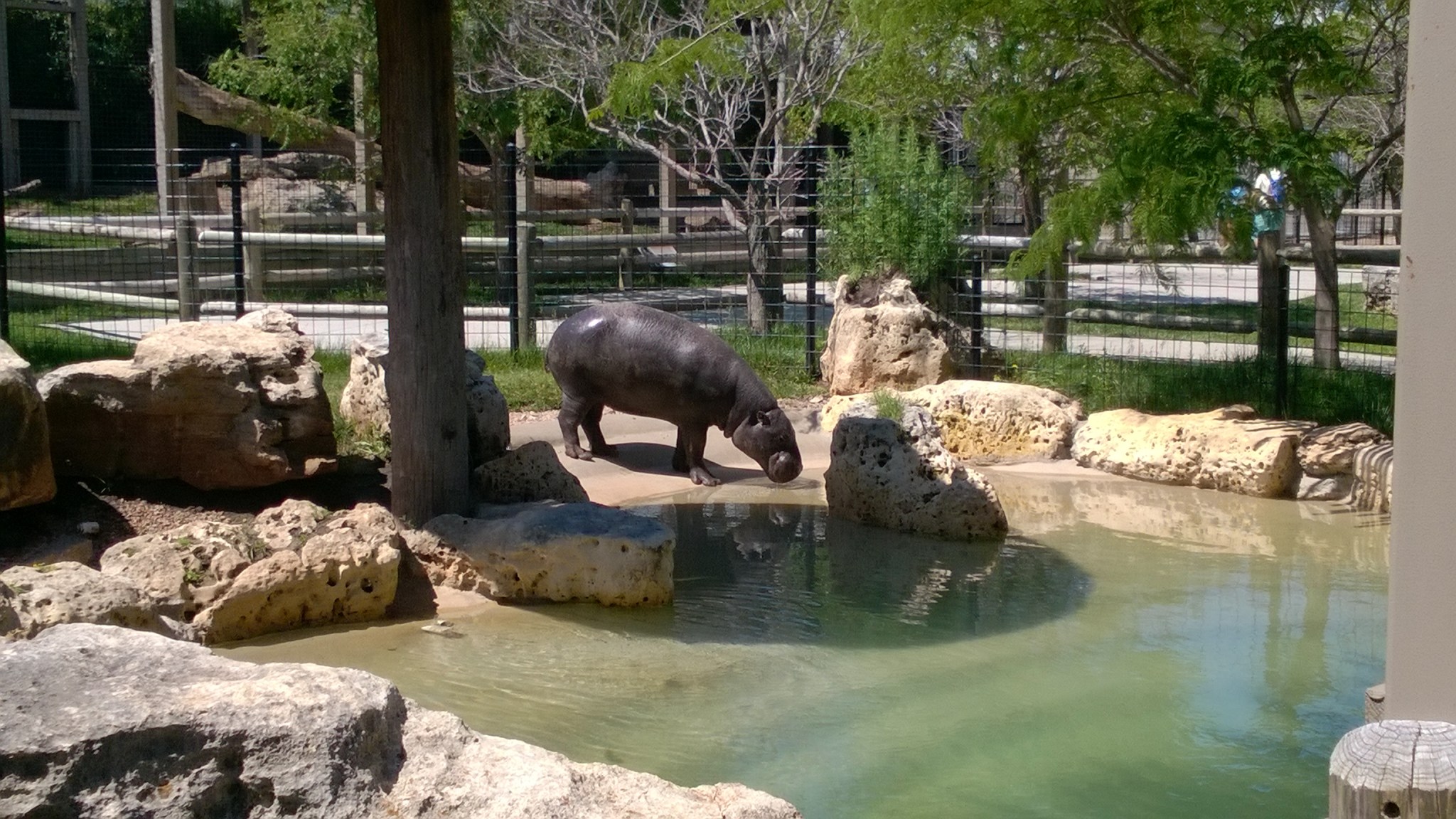 WP_20160530_11_30_30_Pro_LI