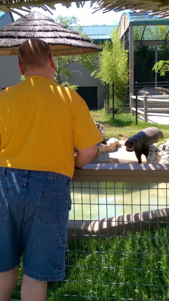 WP_20160530_11_31_25_Pro_LI