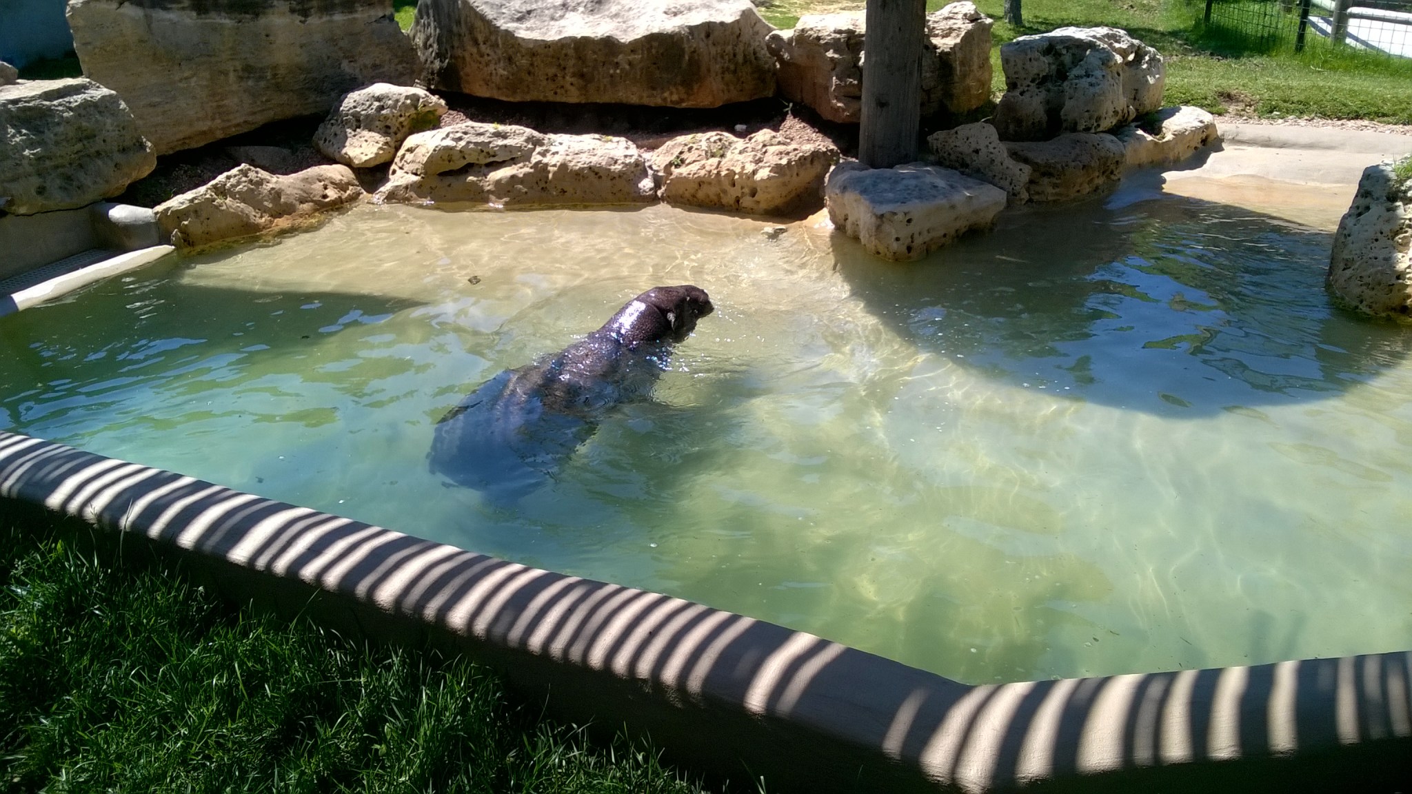 WP_20160530_11_32_33_Pro_LI