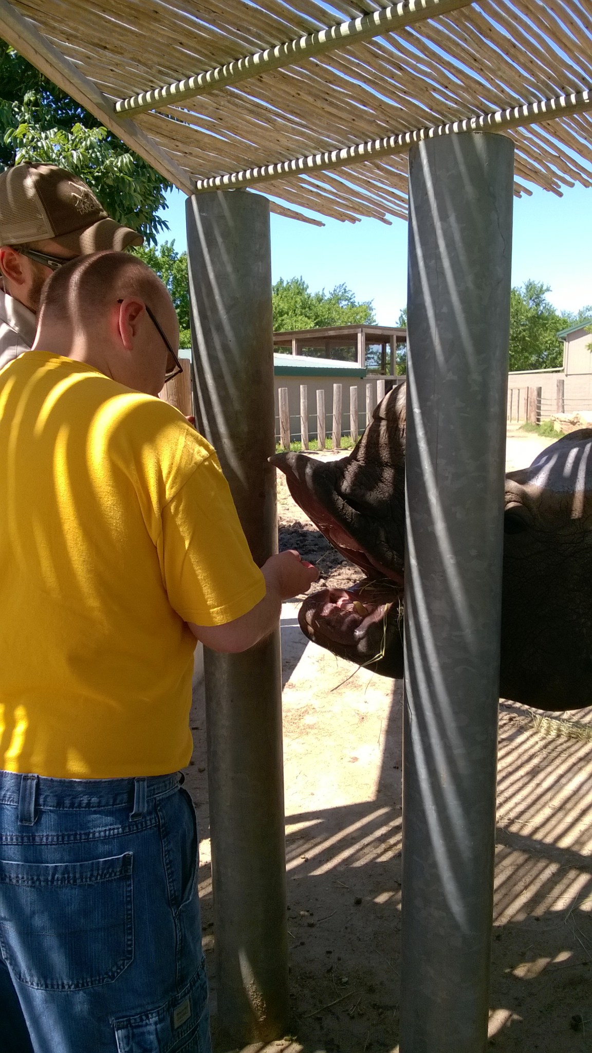 WP_20160530_11_45_56_Pro_LI