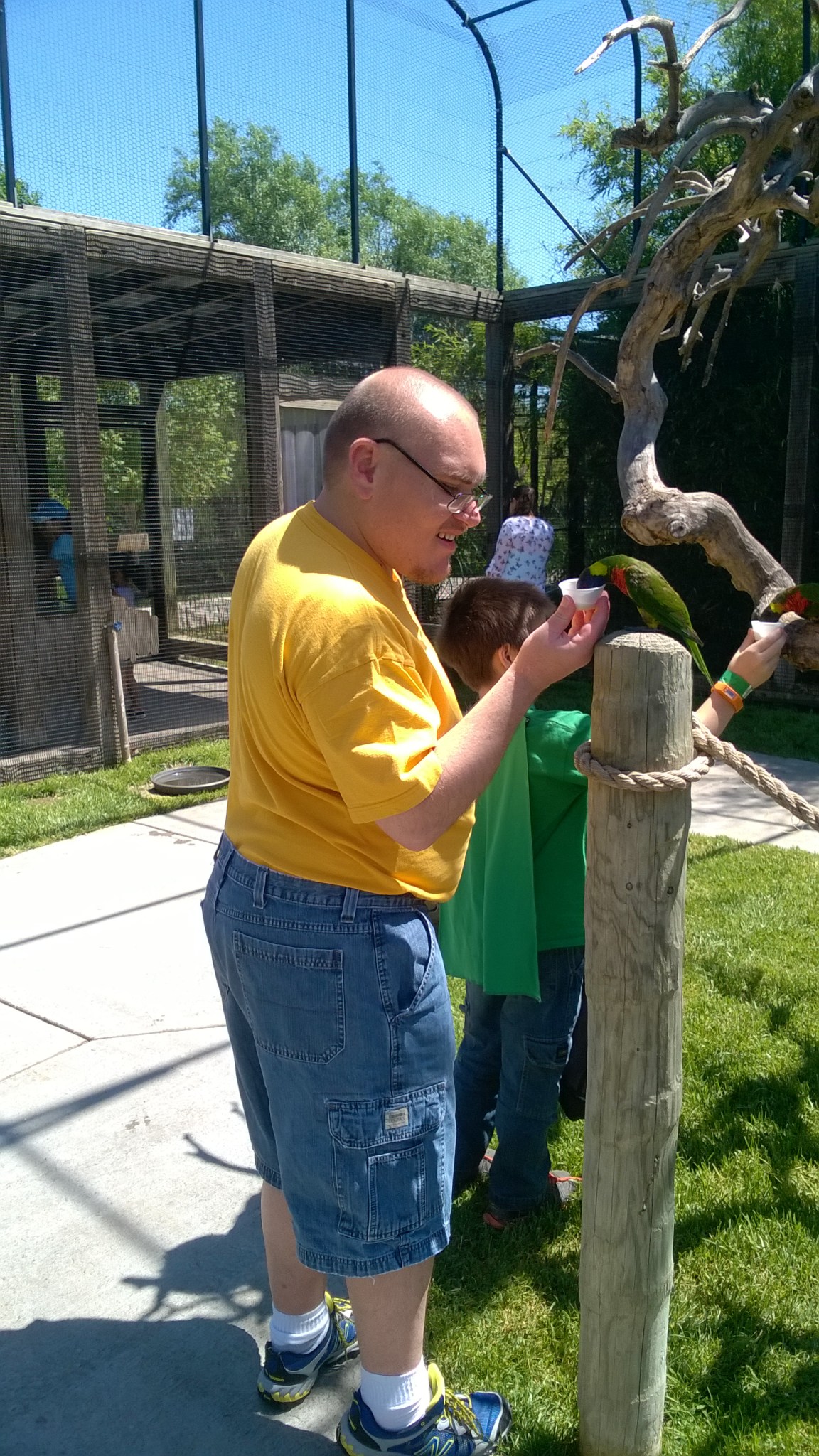 WP_20160530_11_56_28_Pro_LI