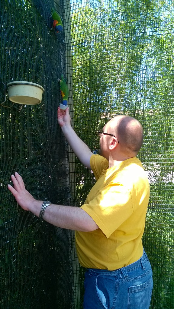 WP_20160530_11_57_16_Pro_LI