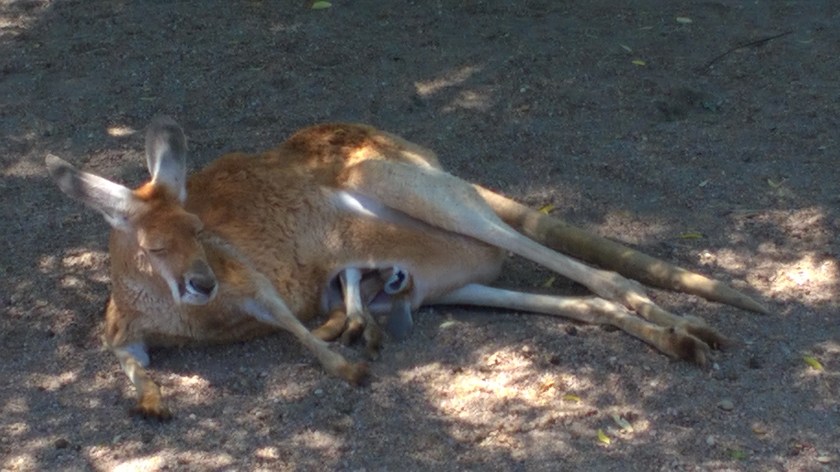 WP_20160530_12_16_18_Pro_LI