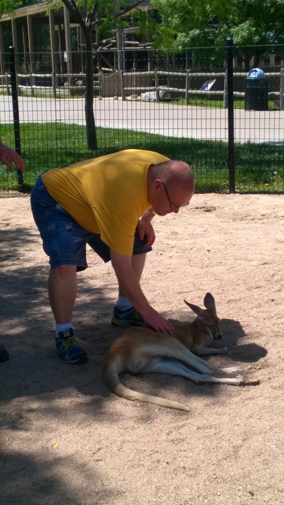 WP_20160530_12_17_45_Pro_LI