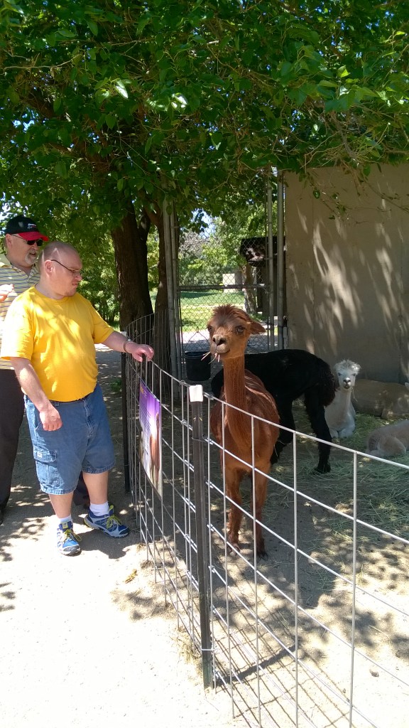 WP_20160530_12_27_51_Pro_LI