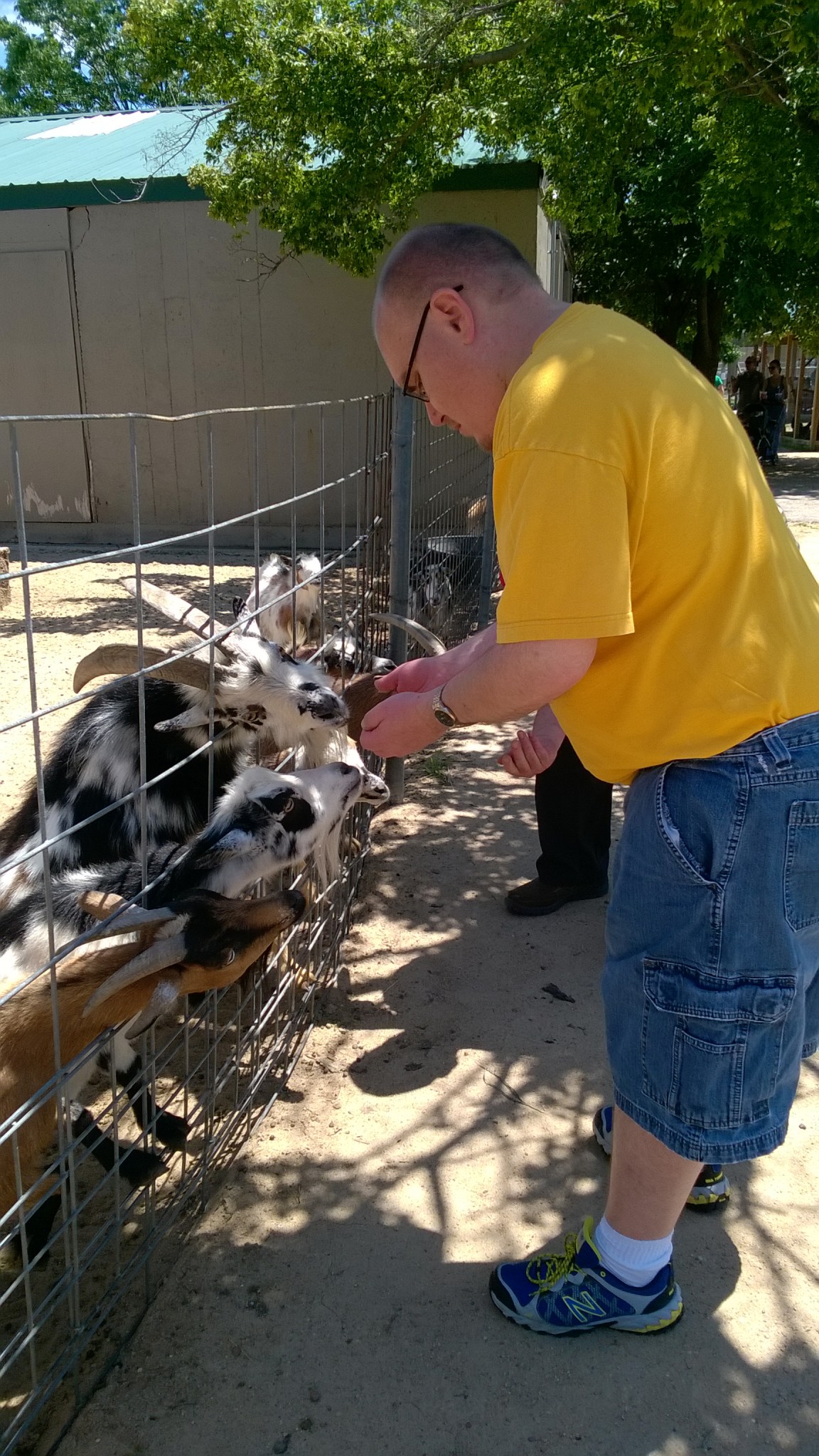 WP_20160530_12_37_32_Pro_LI