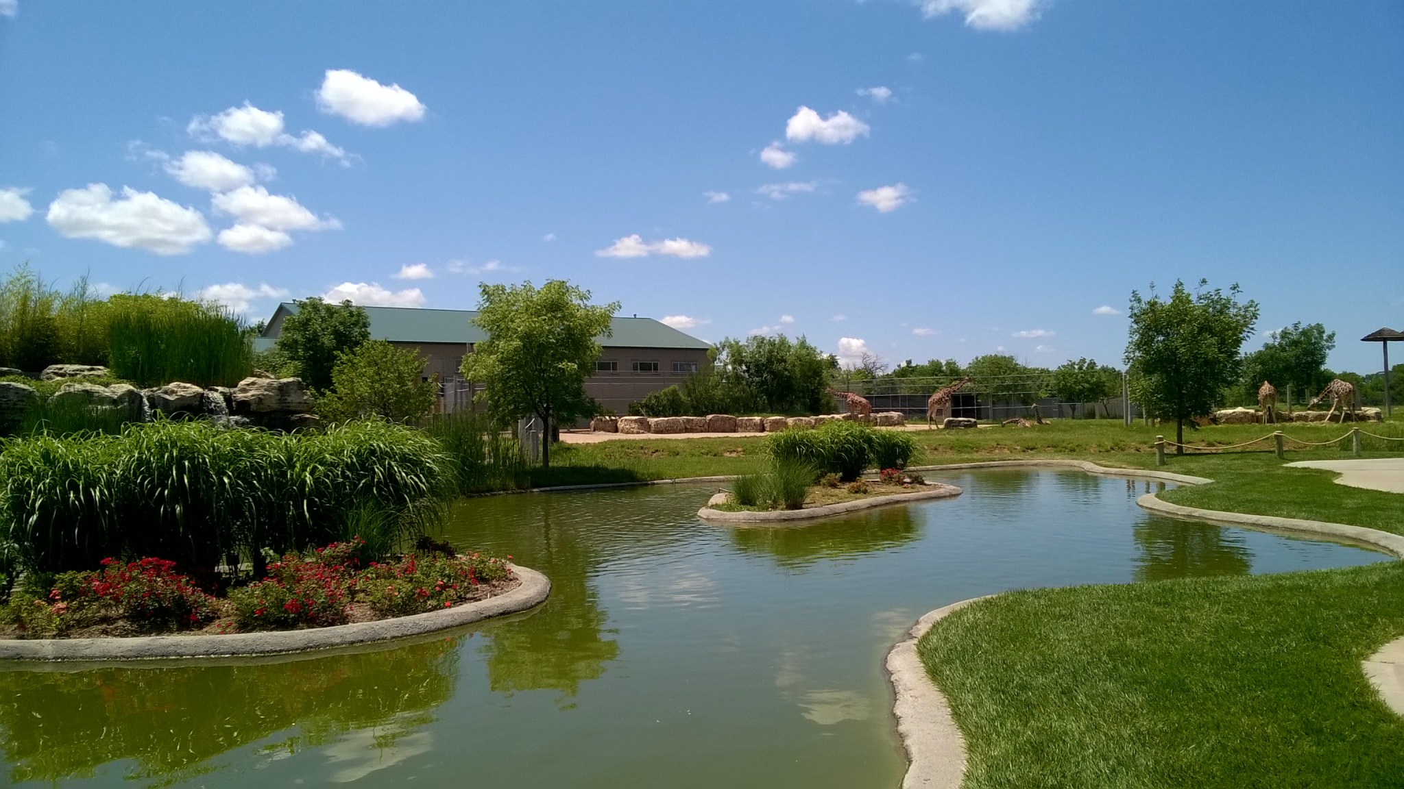 WP_20160530_12_53_30_Pro_LI