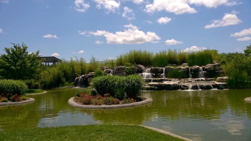 WP_20160530_12_53_45_Pro_LI