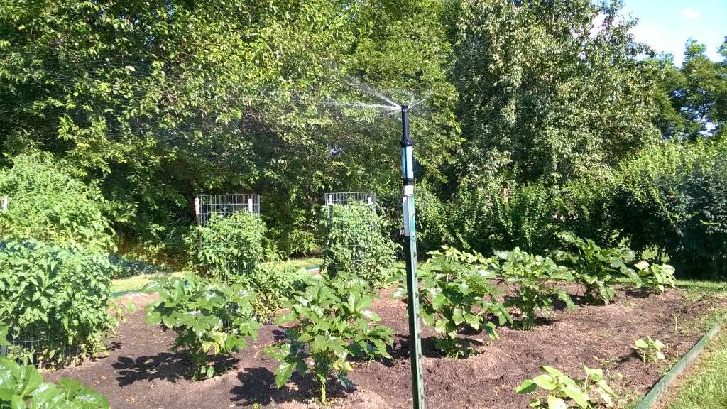 WP_20160720_17_05_51_Pro_LI