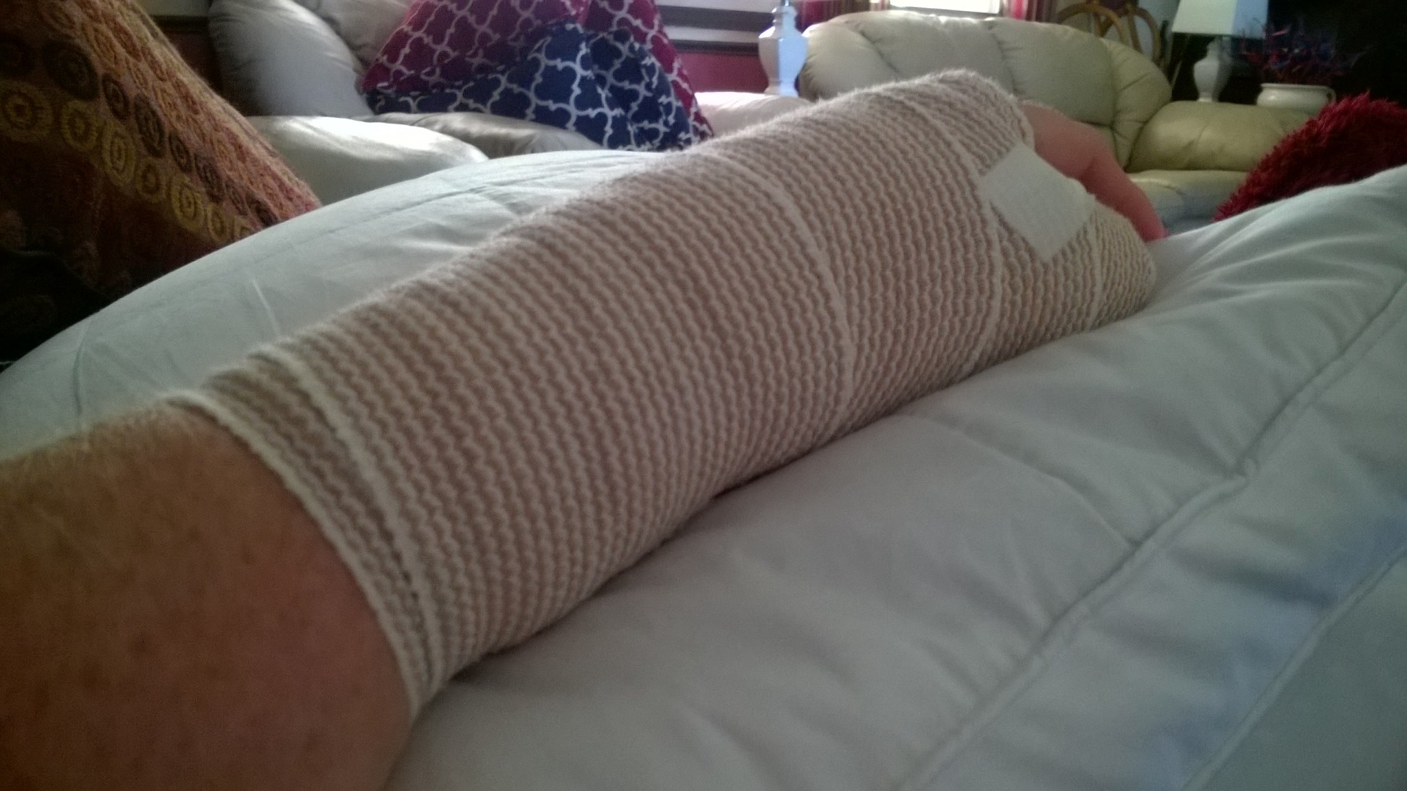 WP_20160729_14_06_13_Pro_LI