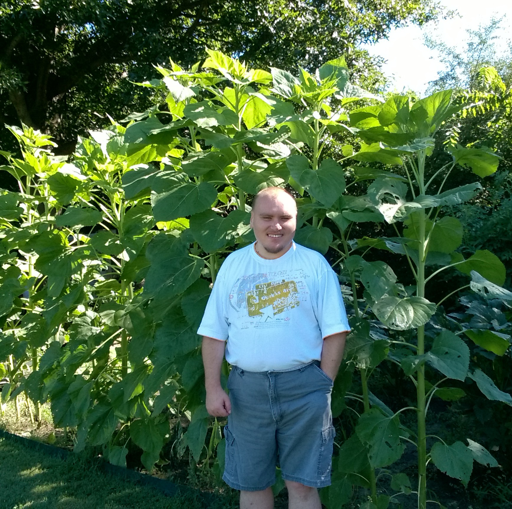 WP_20160813_10_16_47_Pro_LI (2)