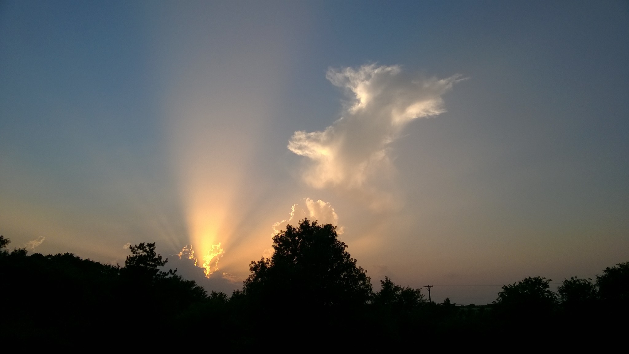 wp_20160712_20_30_08_pro_li