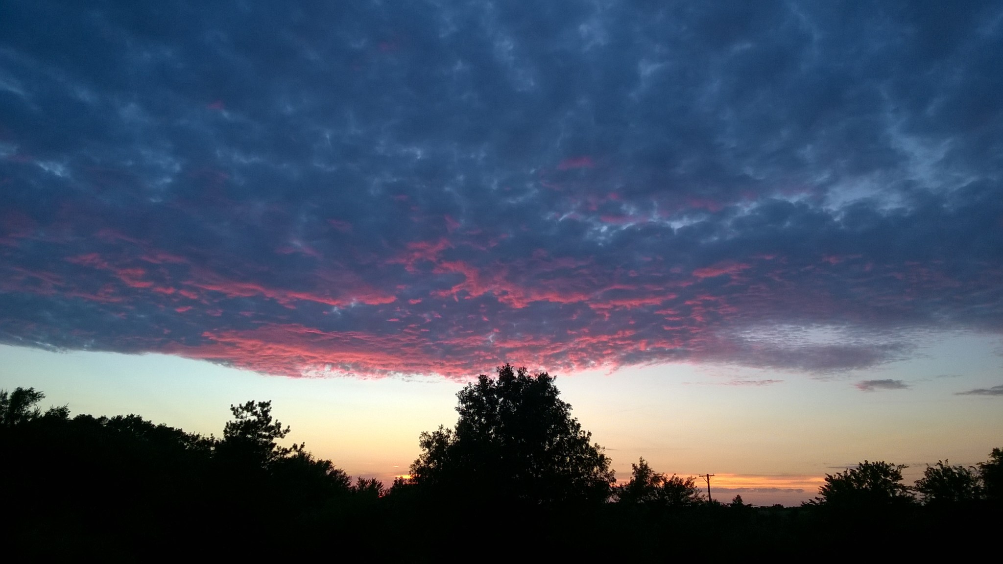 wp_20160723_20_53_19_pro_li