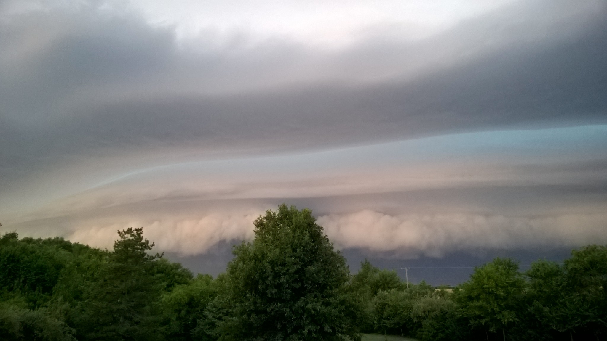 wp_20160728_20_07_54_pro_li