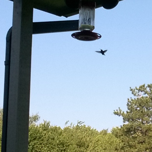 wp_20160905_09_06_04_pro_li-2