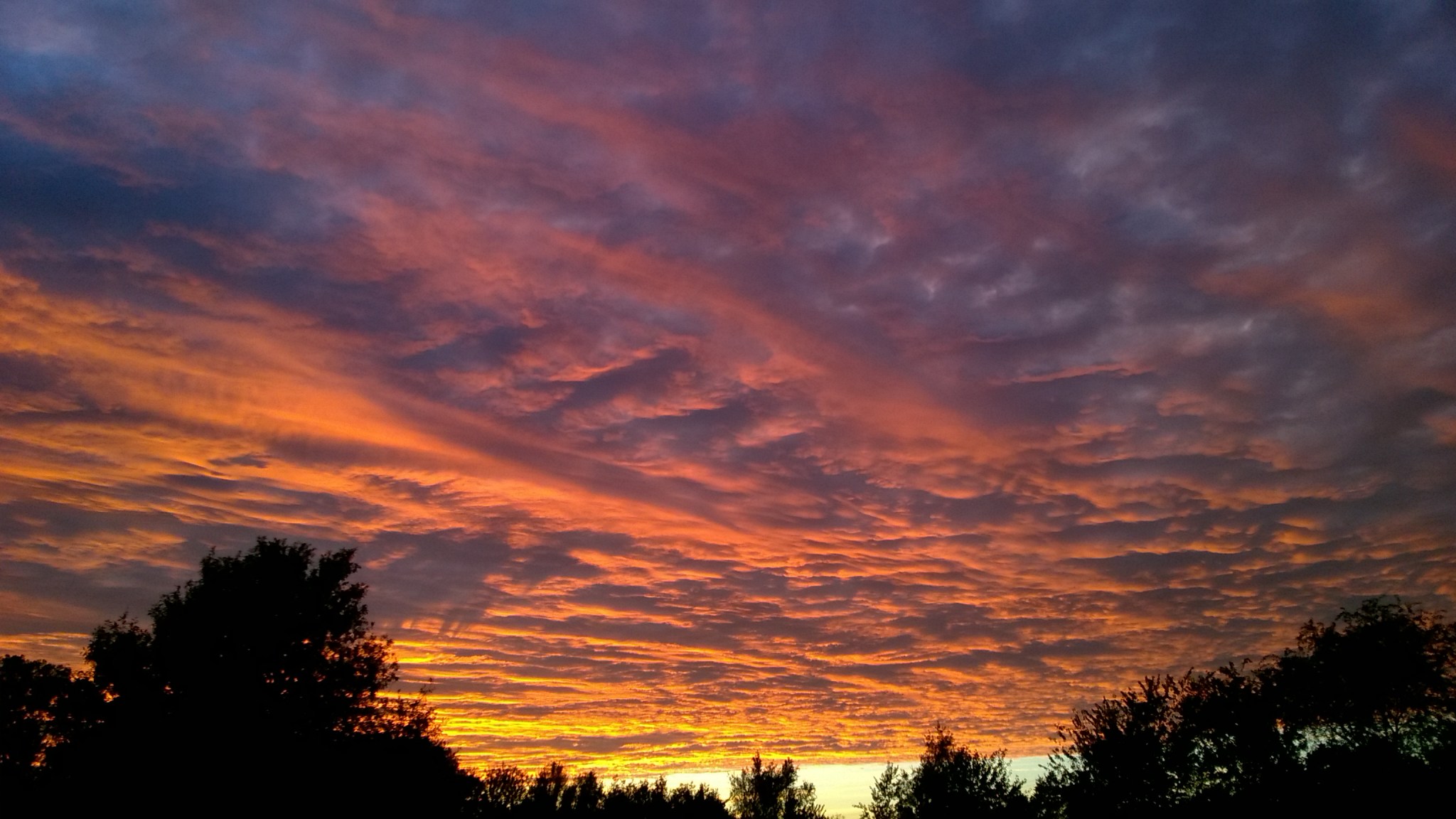 wp_20160925_19_26_47_pro_li