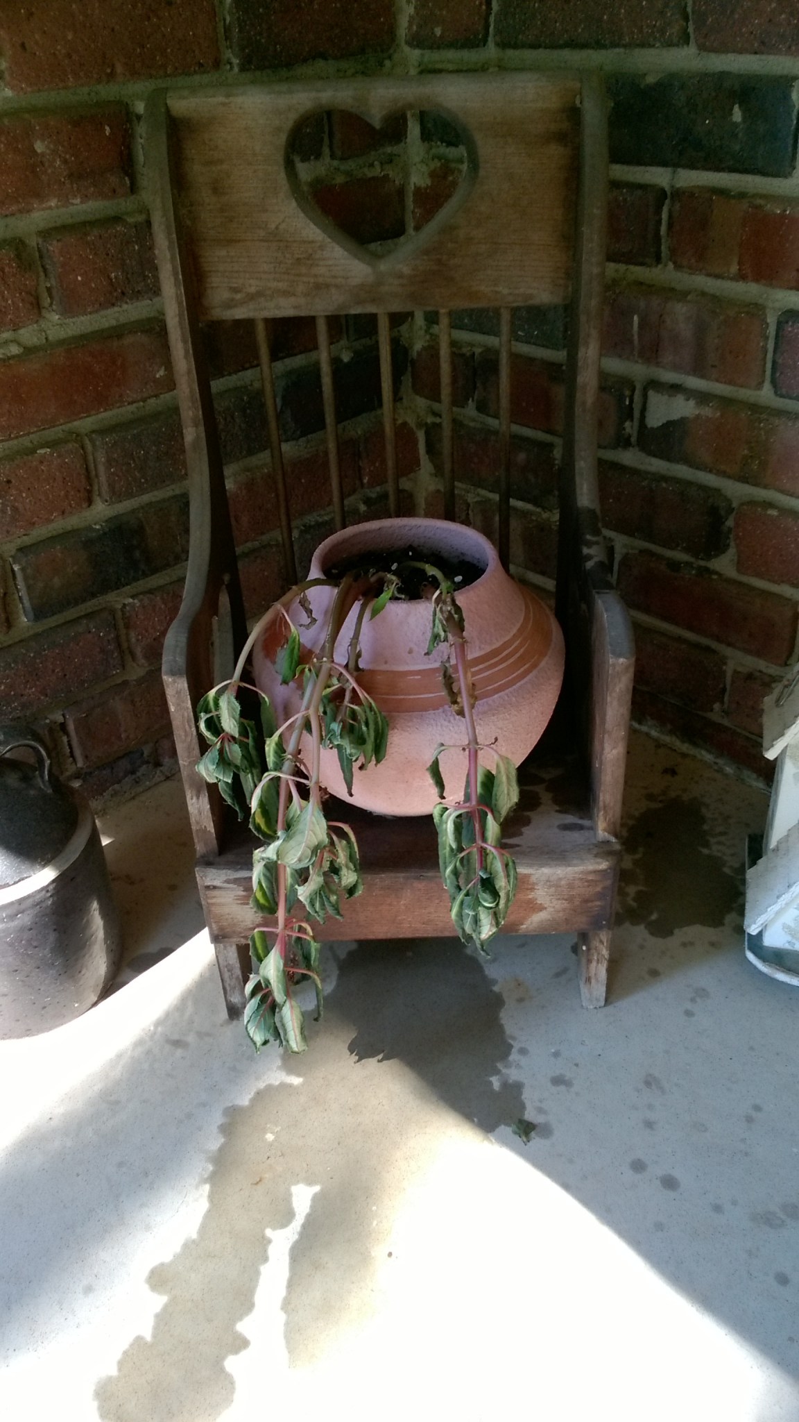 wp_20160919_11_46_27_pro_li