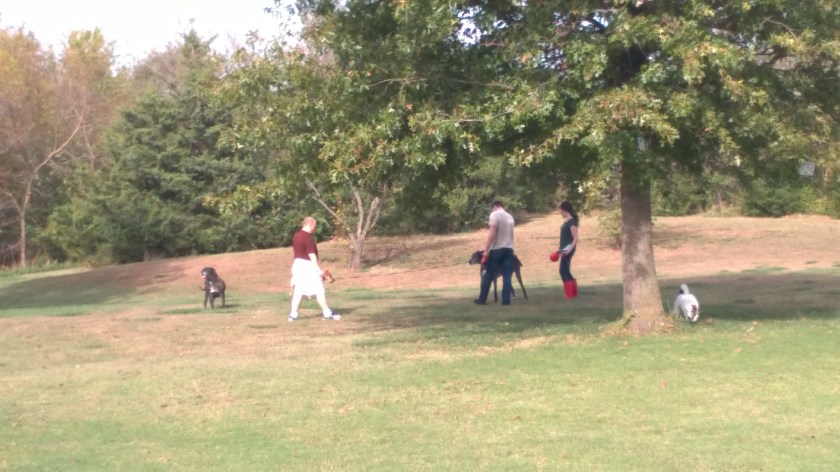 wp_20161028_11_12_22_pro_li