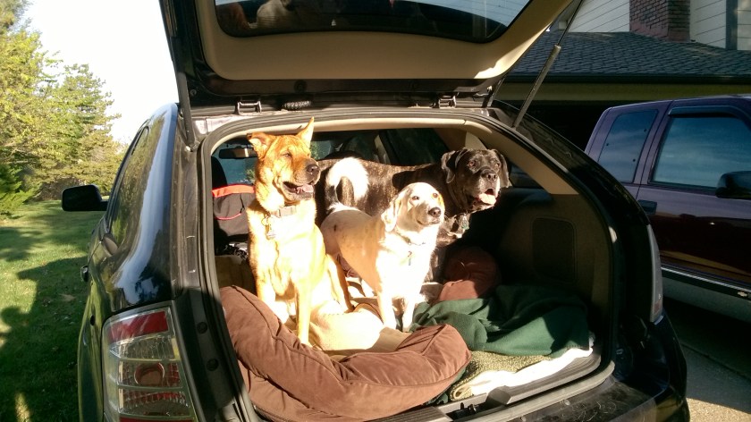 wp_20161029_09_14_39_pro