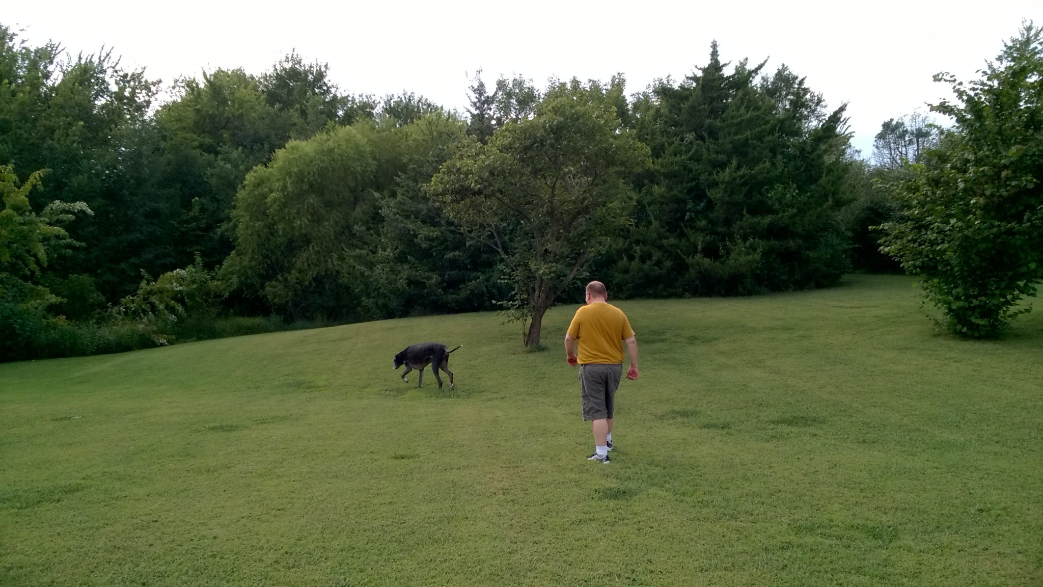 wp_20160824_16_32_51_pro_li