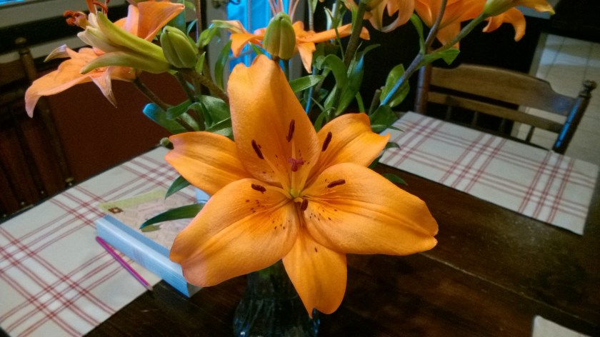 wp_20170107_08_32_18_pro