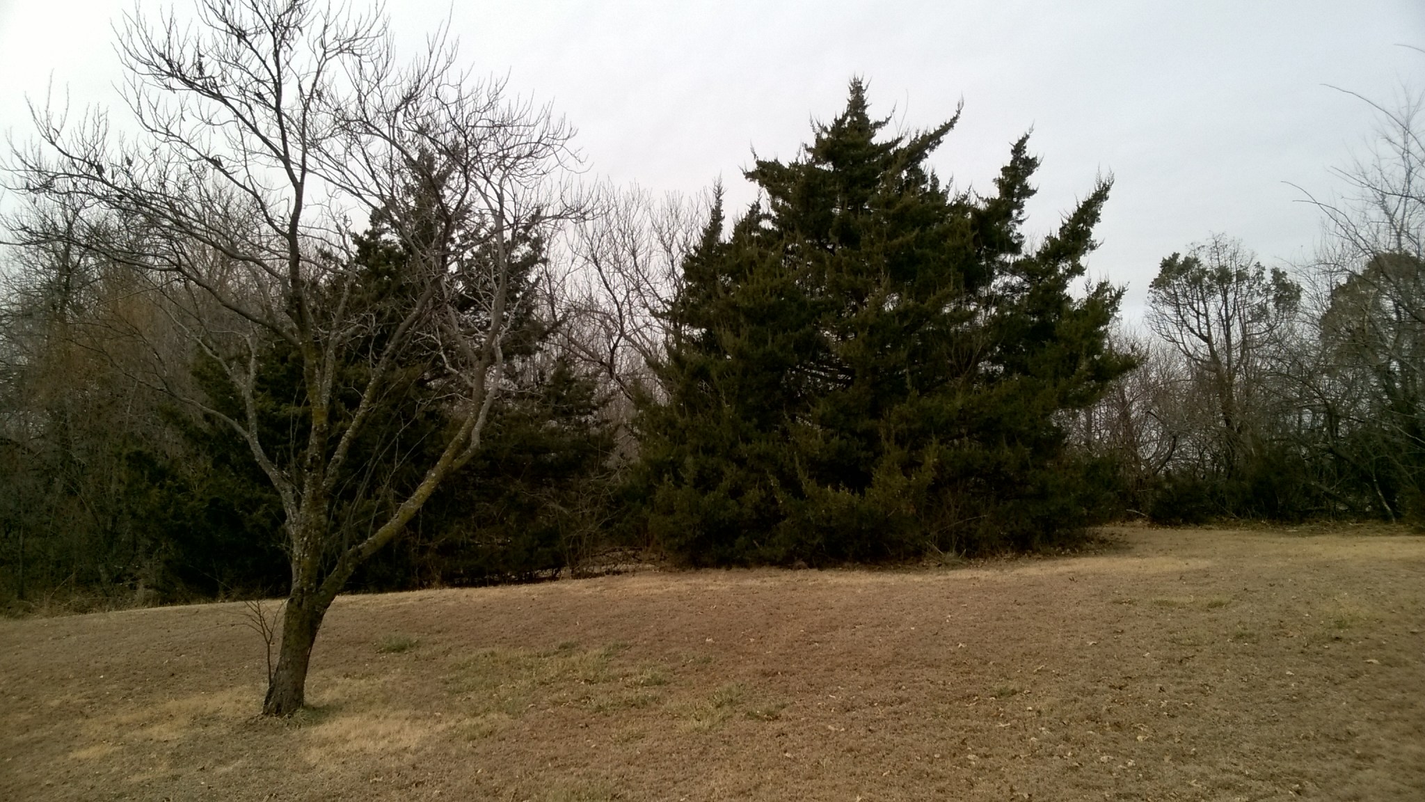 wp_20170114_11_48_25_pro