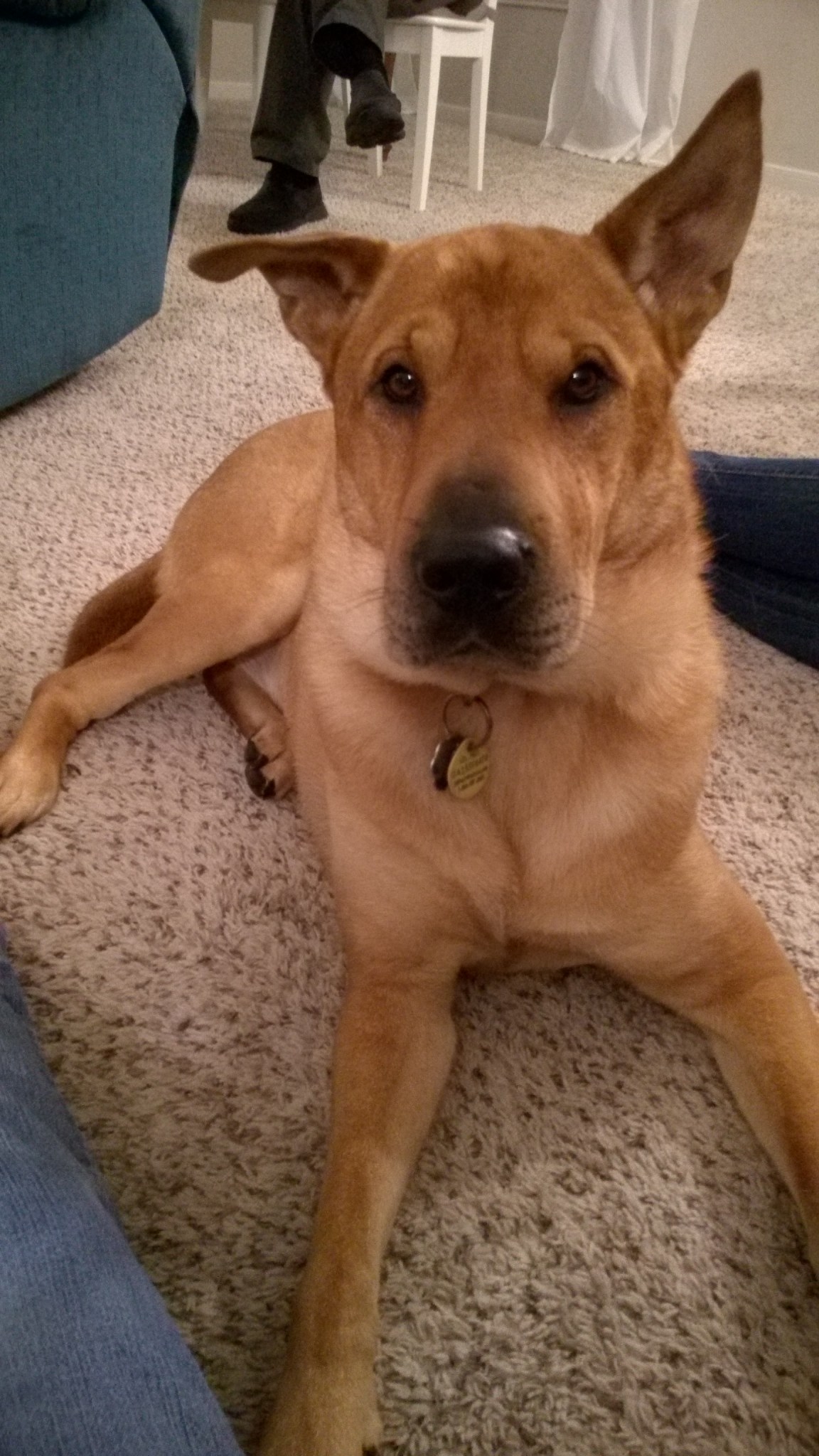 WP_20170420_21_52_00_Pro