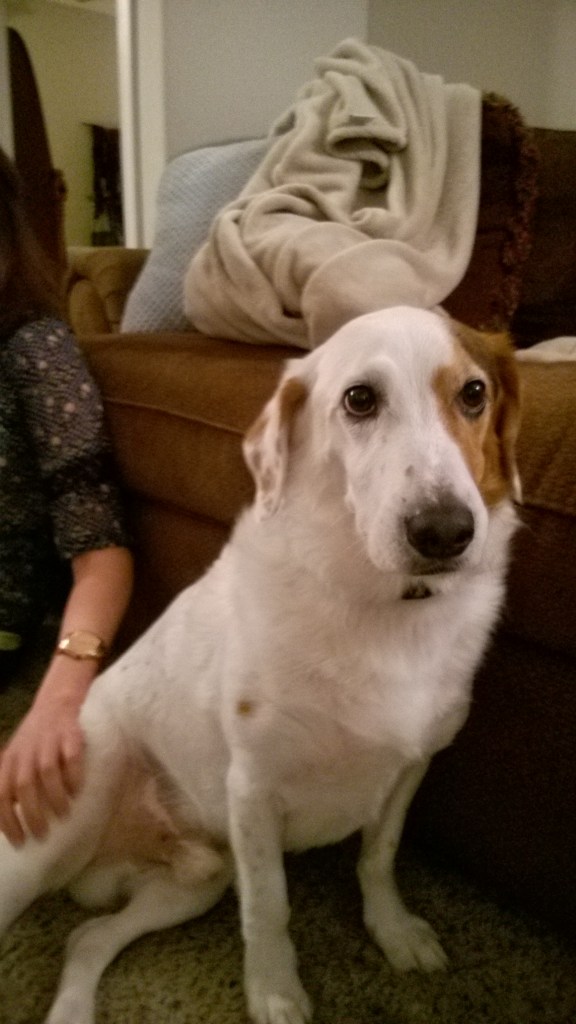 WP_20170420_21_53_59_Pro