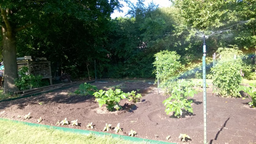 WP_20160709_17_20_35_Pro_LI