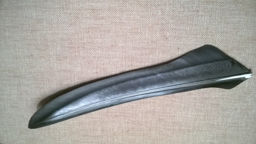 WP_20170731_11_44_45_Pro