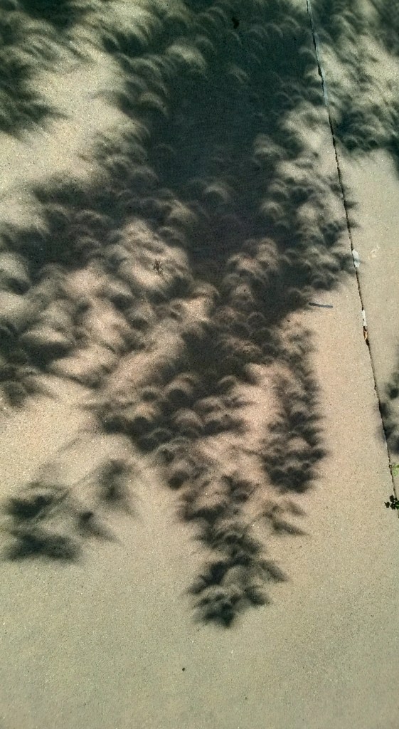 WP_20170821_13_14_09_Pro