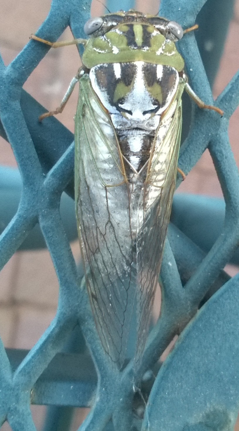 WP_20170820_07_44_32_Pro (2)