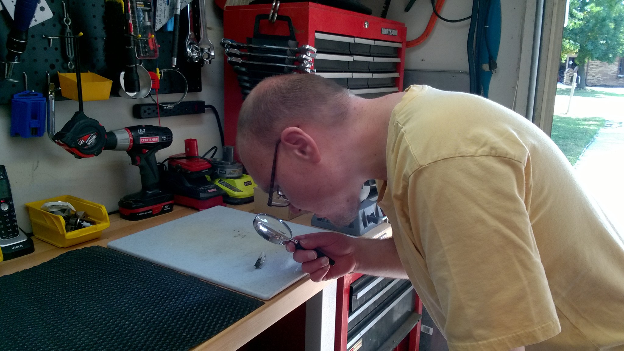 WP_20170910_12_50_19_Pro