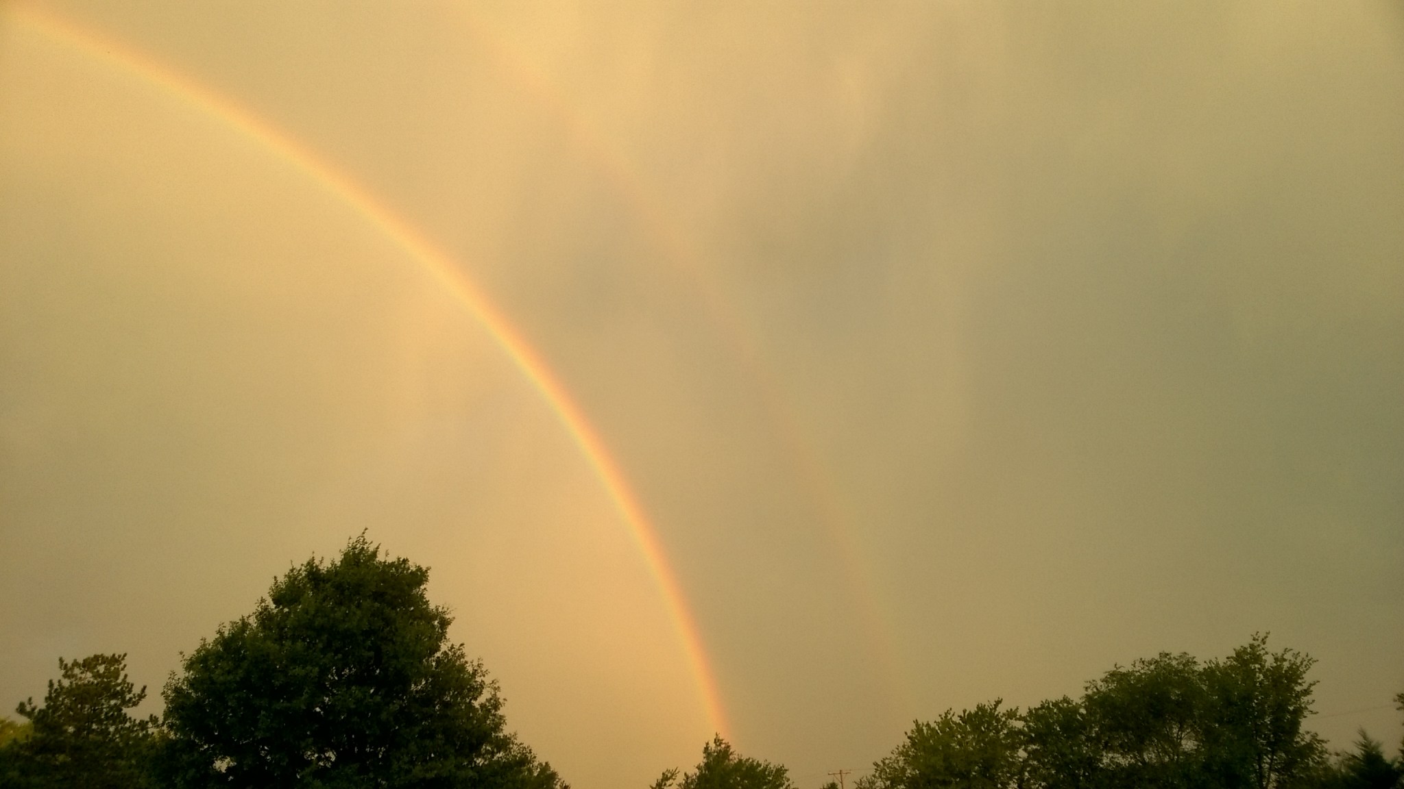 WP_20170916_07_33_37_Pro