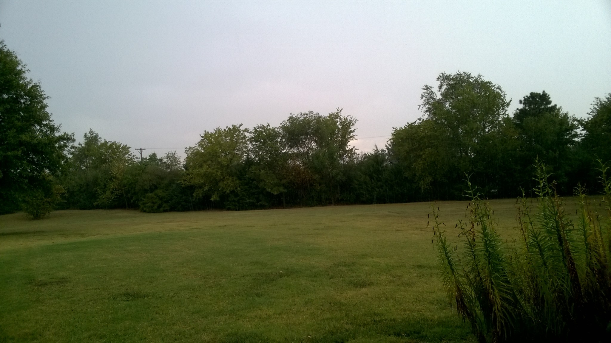 WP_20170916_09_02_05_Pro