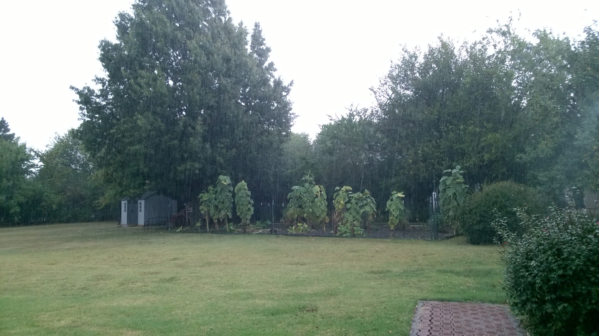 WP_20170916_09_02_31_Pro