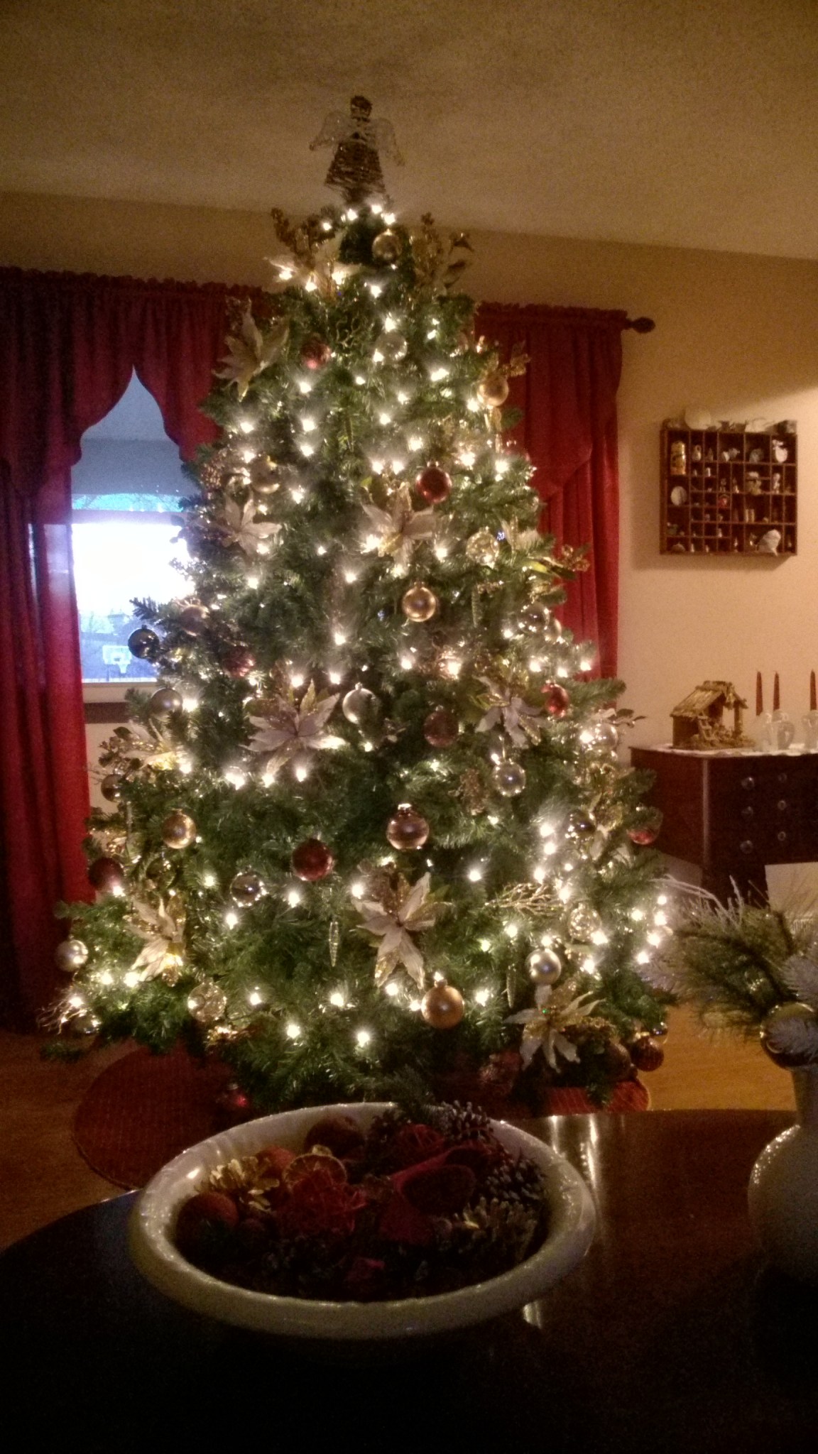 WP_20171207_07_29_43_Pro