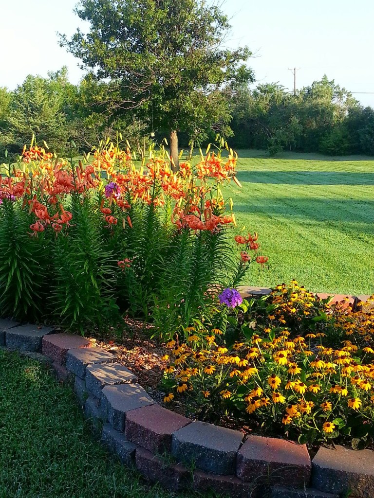 672b0-20130801_080228