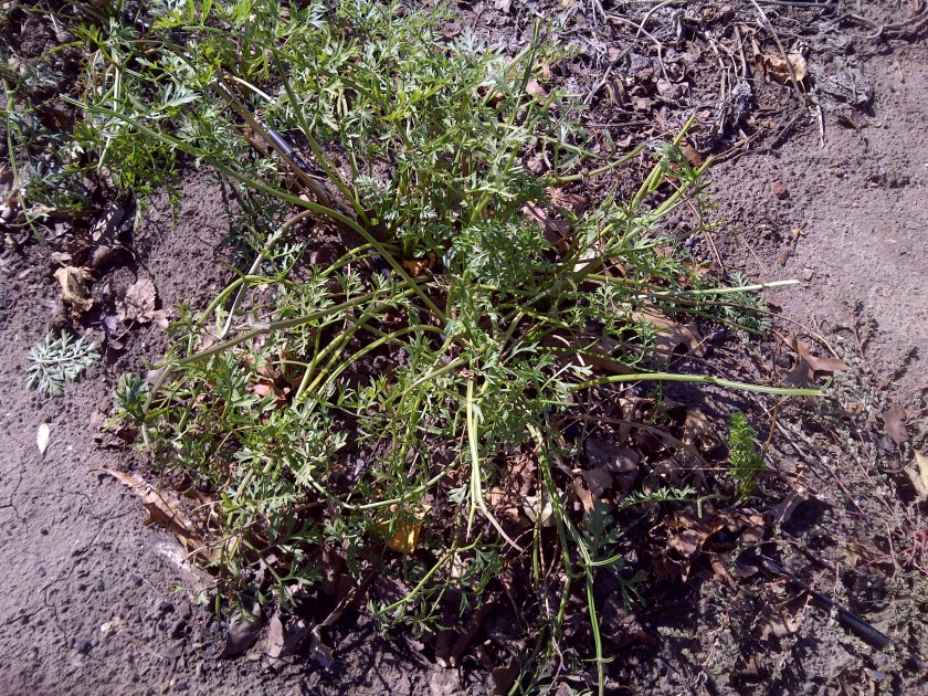 Wichita-20111015-00327