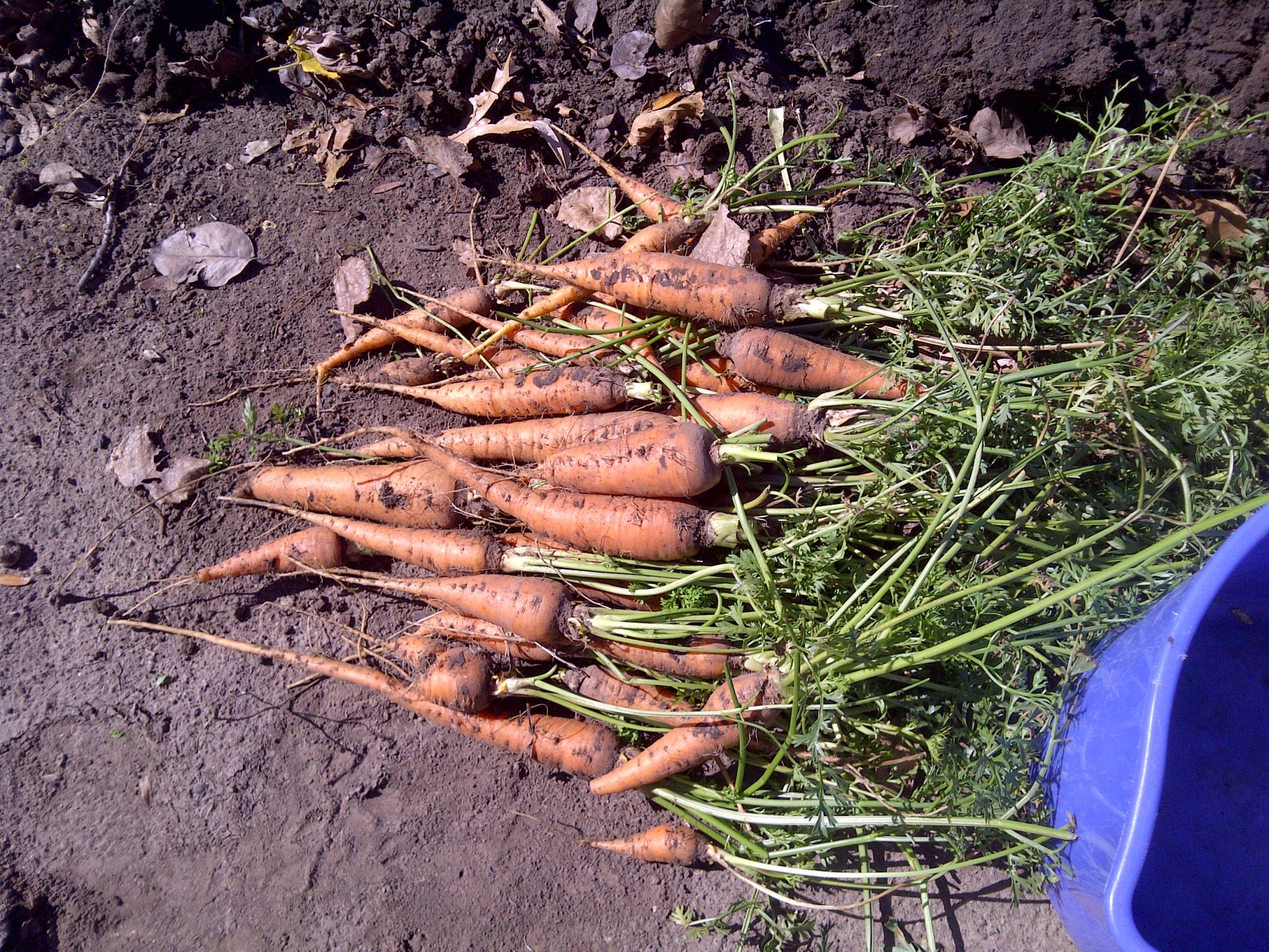 Wichita-20111015-00330