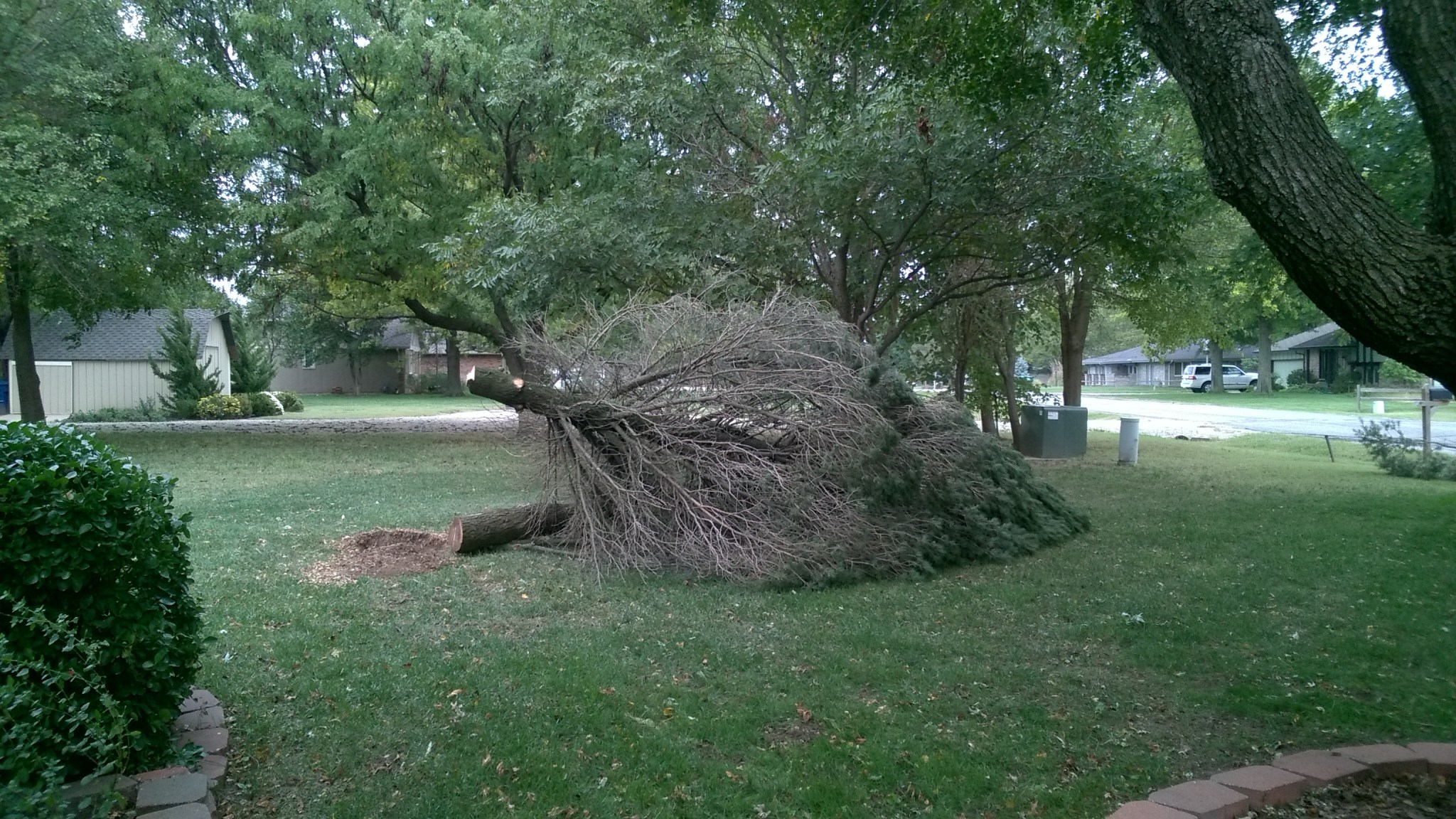 WP_20171002_16_10_19_Pro