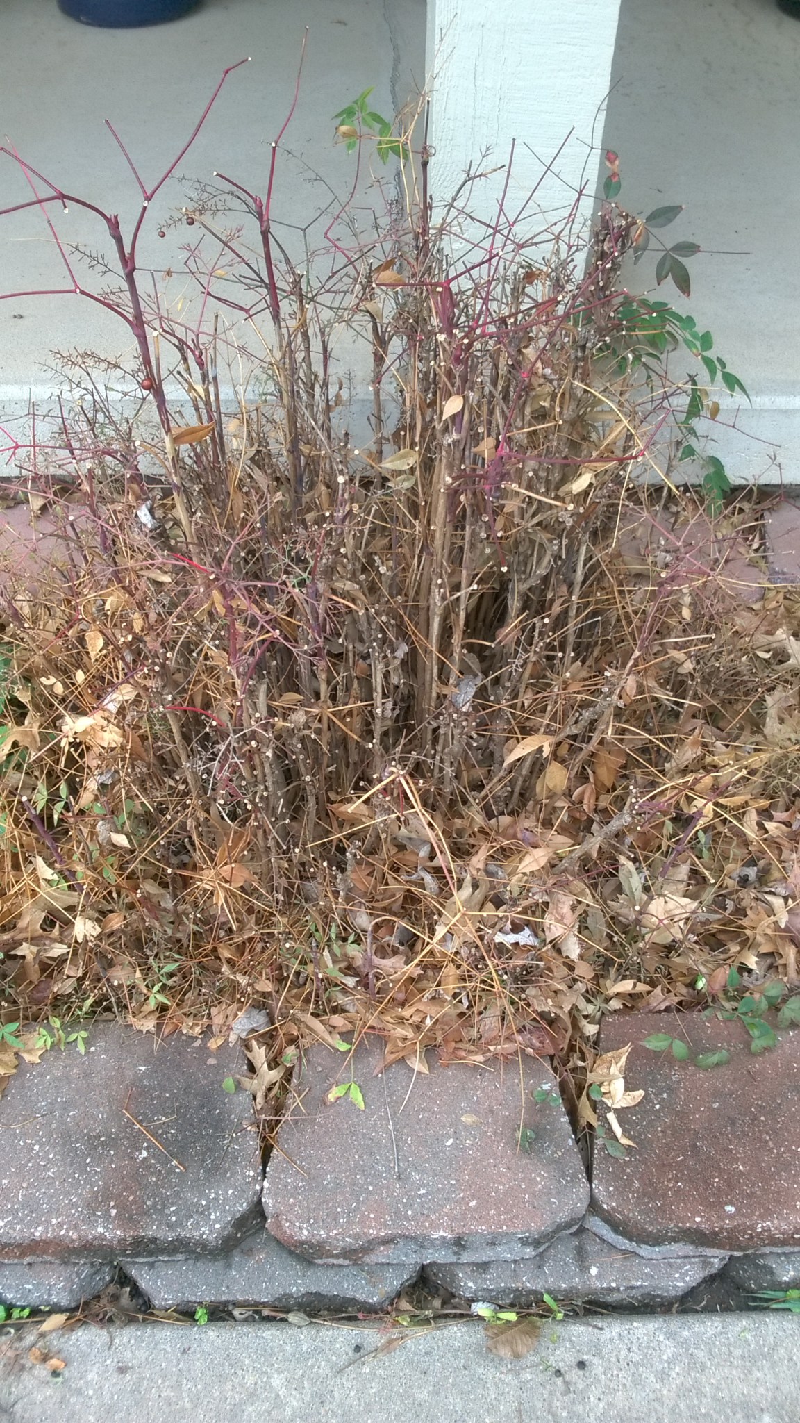 WP_20170325_17_15_47_Pro