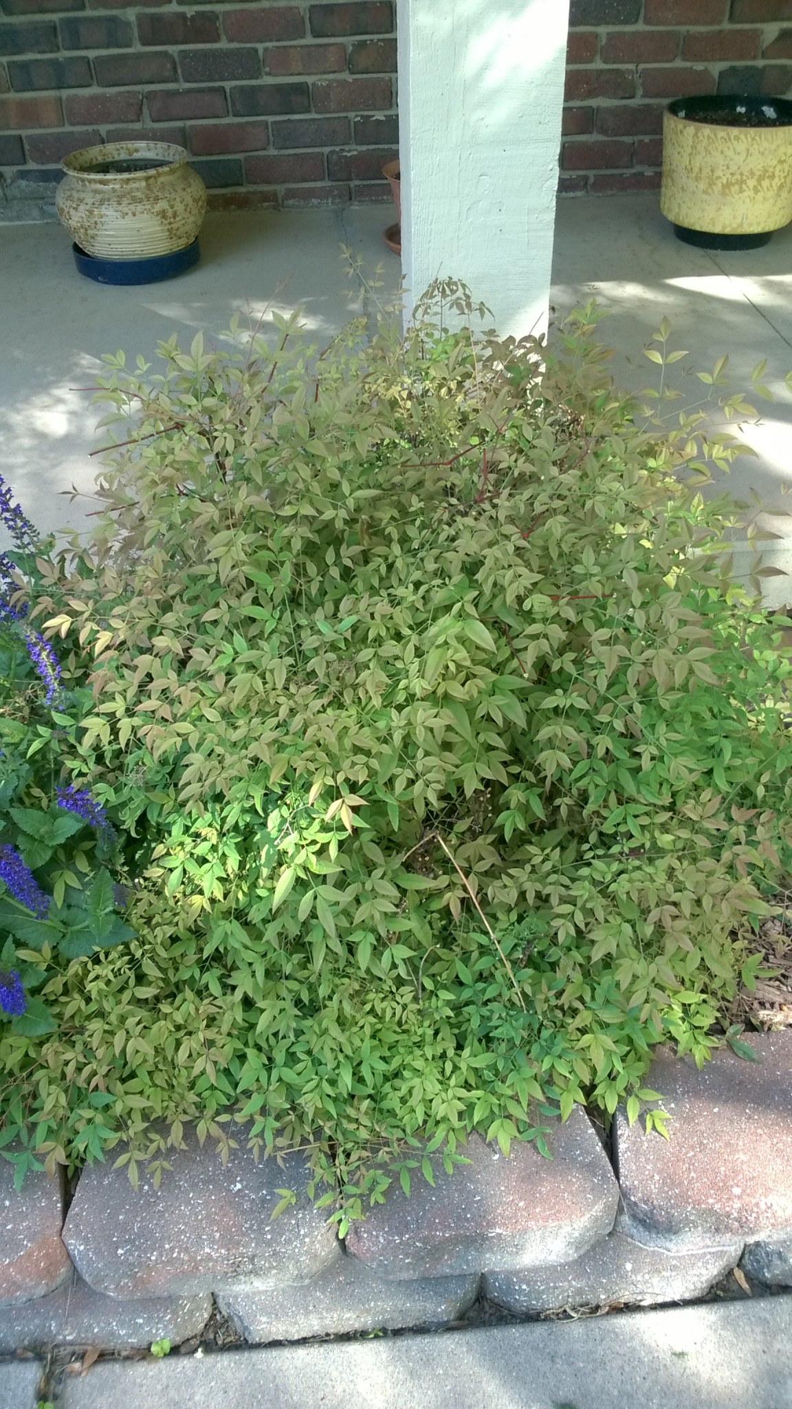 WP_20170425_10_19_24_Pro