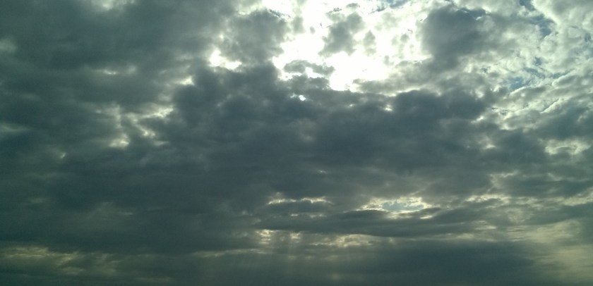 WP_20180429_08_55_13_Pro