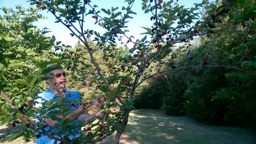 WP_20180526_08_23_25_Pro