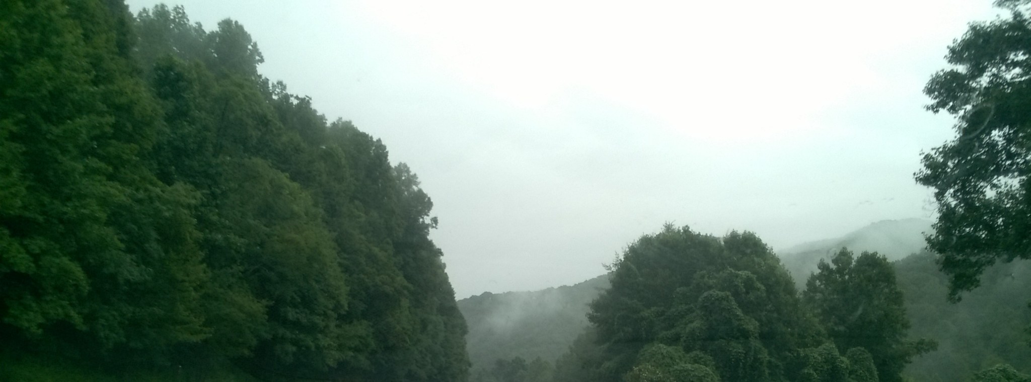 WP_20180801_19_12_12_Pro