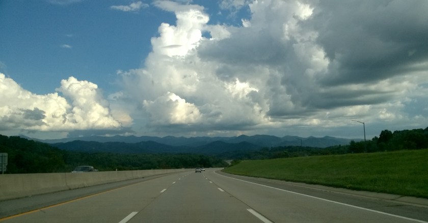 WP_20180805_17_49_39_Pro