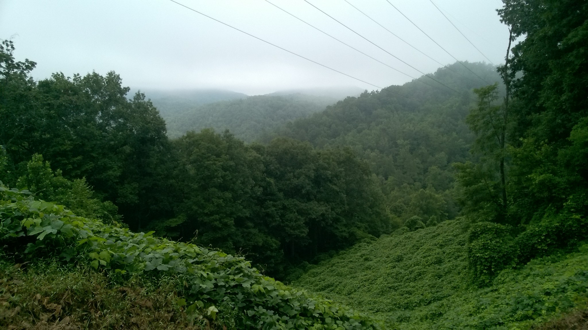 WP_20180806_09_40_26_Pro