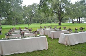 44458563_2274112555994651_617452959558533120_o